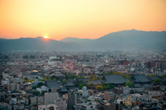 20年以上の実績が、信頼の証です